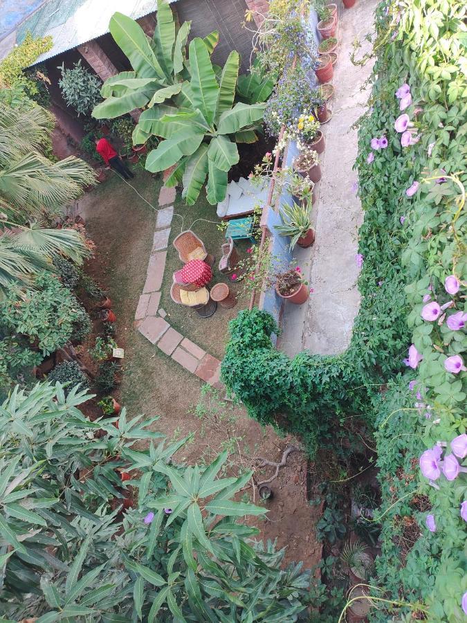 Bristows Haveli Homestay Jodhpur (Rajasthan) Exterior foto